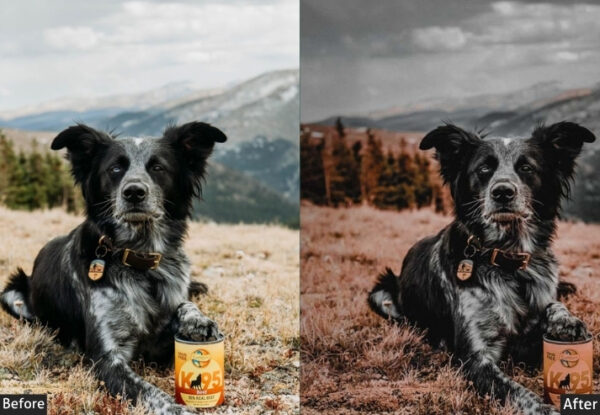 50+ Pet Presets - Image 15