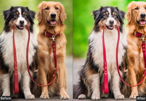 50+ Pet Presets - Image 4