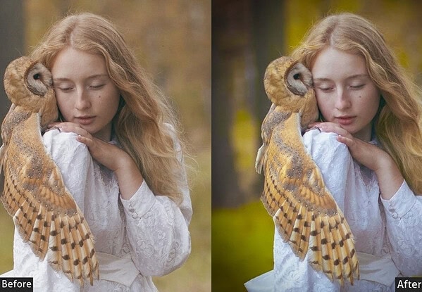Golden Pet