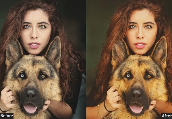 Matte Brown Pet