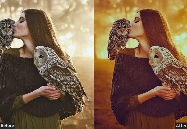 Moody Fantasy Pet