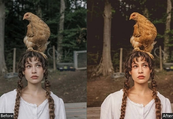 Old Style Pet