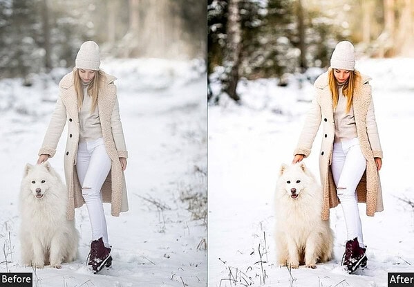 Winter Pet