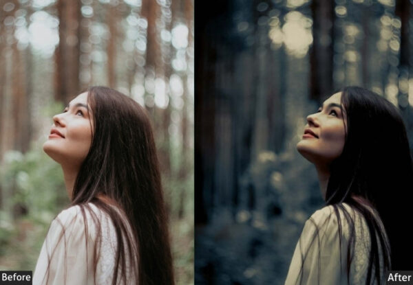 50+ Fujifilm Presets - Image 42