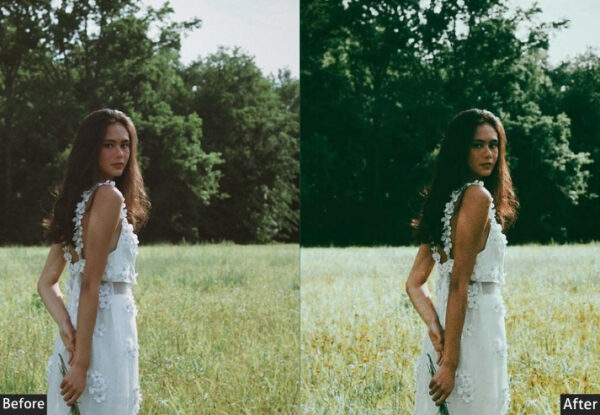 50+ Fujifilm Presets - Image 6