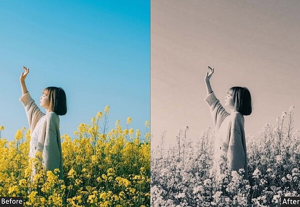 Comparison of photo edited with Lightroom presets showing vibrant colors and black-and-white effect for artistic enhancement.