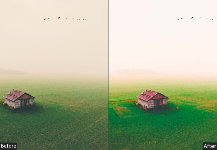 Drone Nature