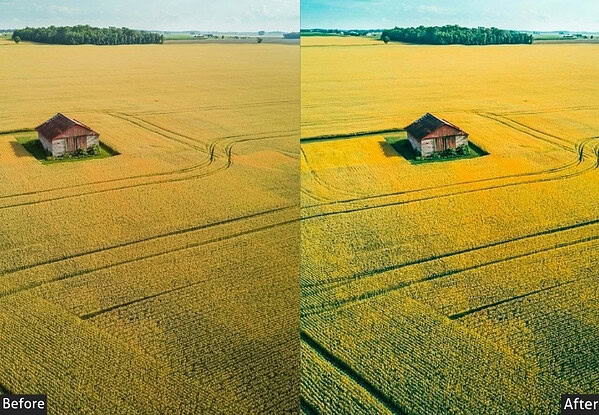 Bright Nature Drone