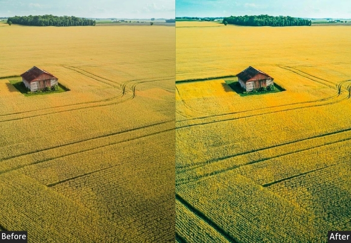 Bright Nature Drone