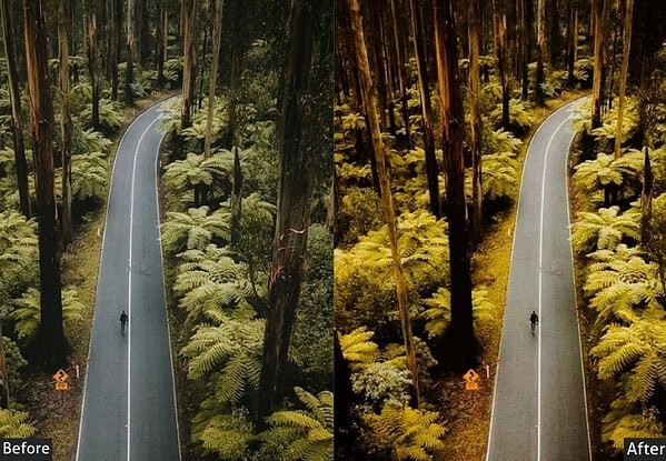 Comparison of drone photography with and without Lightroom presets showing enhanced colors and contrast in a forest road scene.