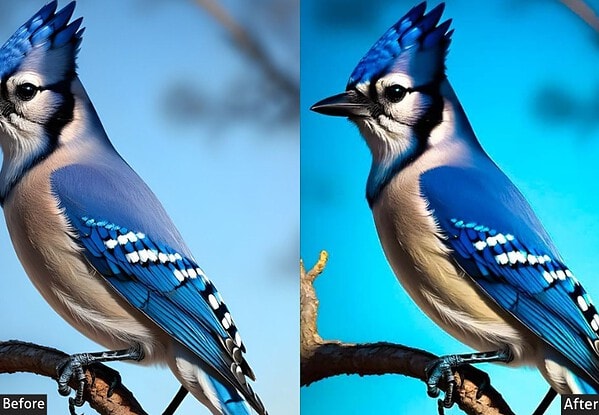 Blue Bright Bird