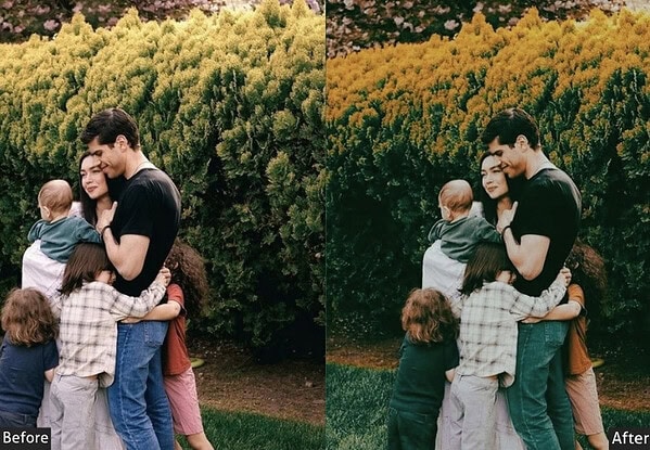 Cinematic Family