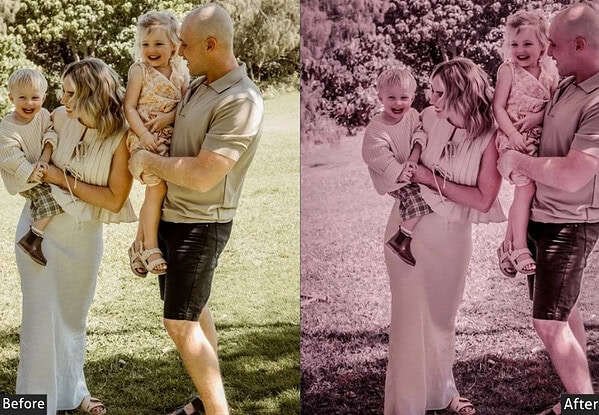 Dusty Rose Family