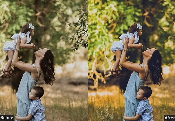 Matte Family