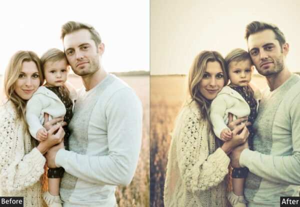 Matte Warm Family