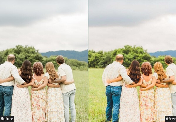 Mist Matte Family