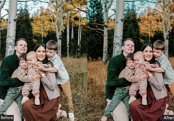 Vivid Family
