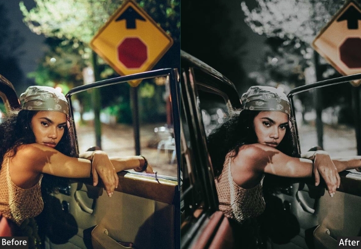 100+ Vintage Presets Bundle - Image 138