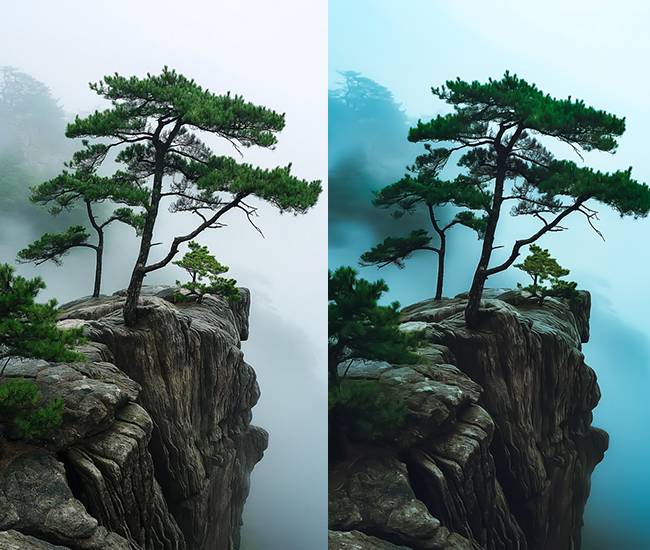Artistic-4k