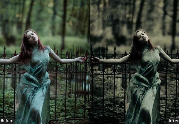 Dark Filmy Gothic