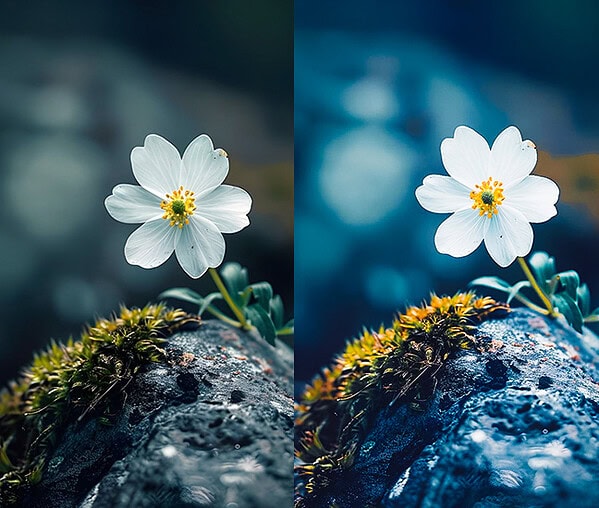 Flower-4k