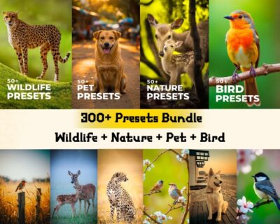 Animal Presets Combo