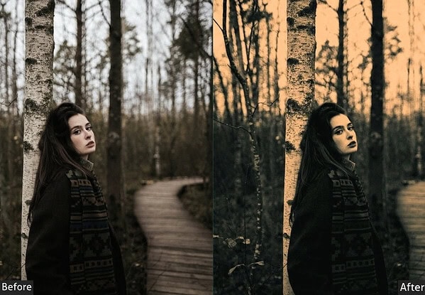 Vintage Warm