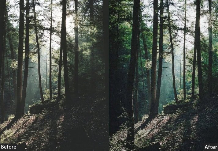Bright Kodak Portra