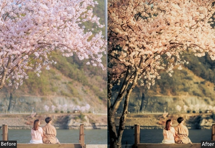 Autumn Filmy Japan