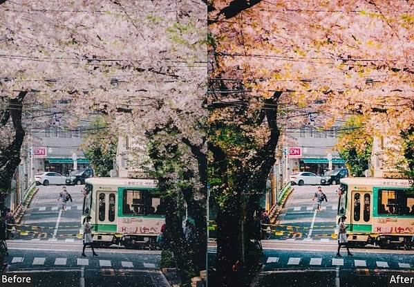 Vibrant cherry blossoms in full bloom over a city street with pedestrians and a tram, showcasing a beautiful urban springtime setting.