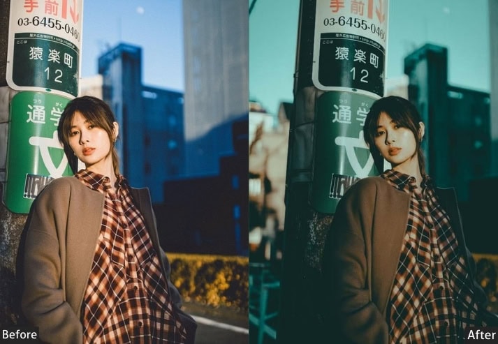 Cinematic Matte Japan