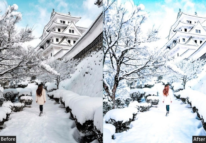 Icy Winter Japan