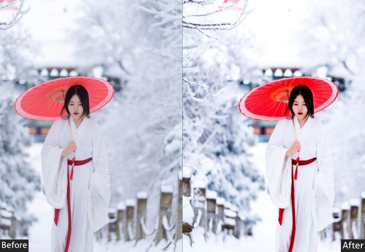 Winter Japan