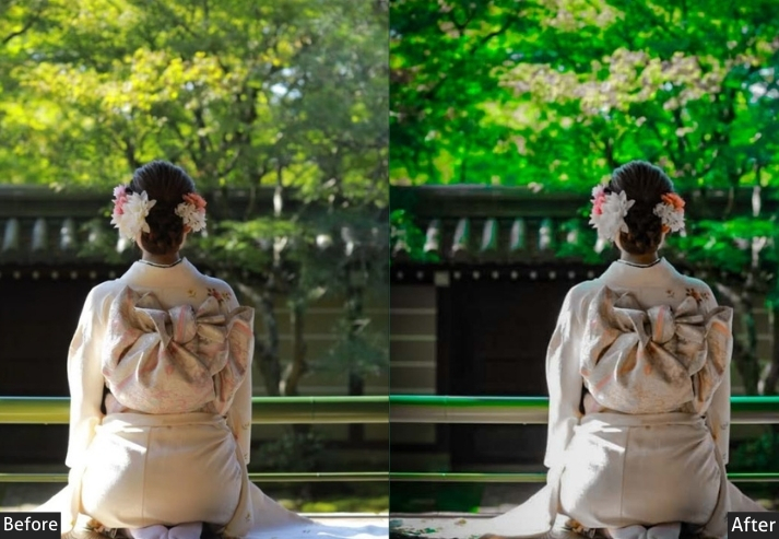 Zen Japan