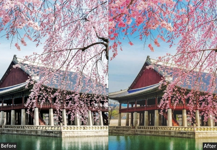 Autumn Korean