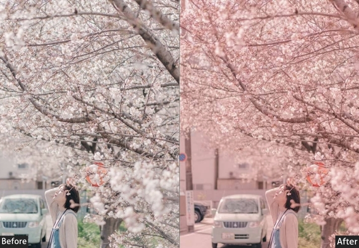 Autumn Vibe Korean