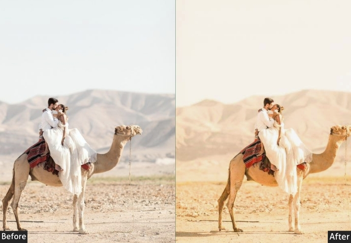 Desert Warm Haryana