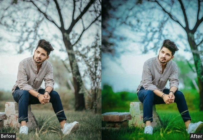 Green View Haryana