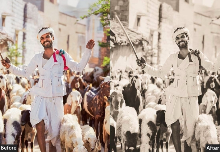 Sepia Matte Haryana