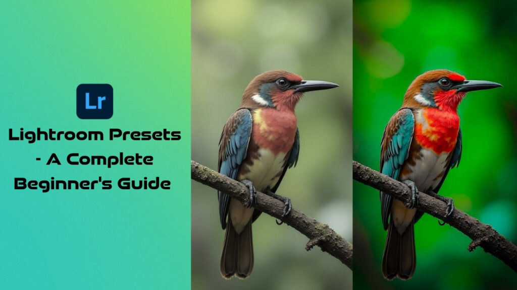 What Are Lightroom Presets