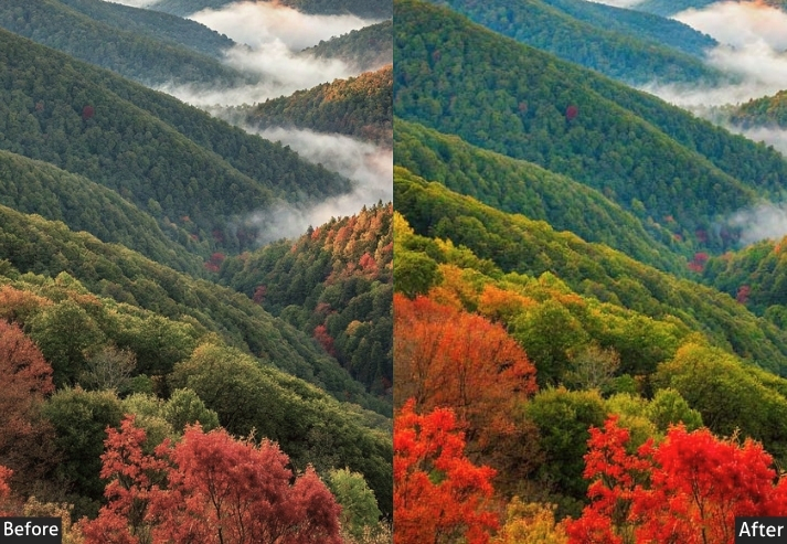 HD Landscape