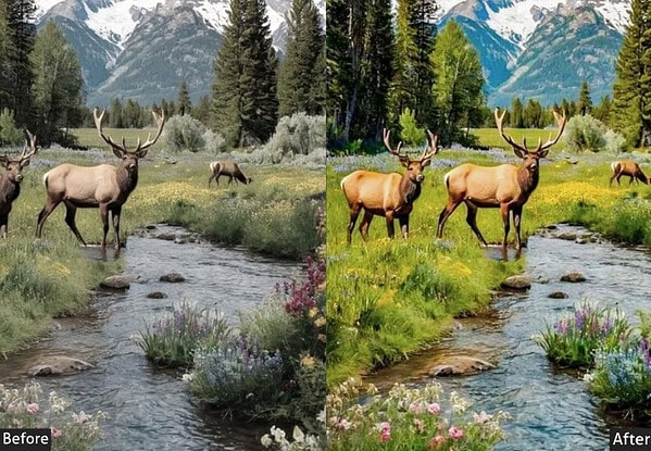 Comparison of landscape photos before and after applying Lightroom presets, showcasing enhanced colors and details in outdoor scenery with mountains, trees, and wildlife.