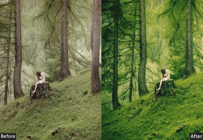 Jungle Tree Landscape