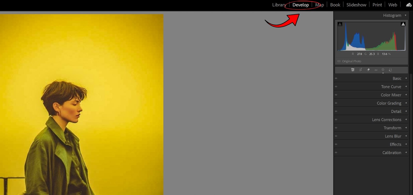 Lightroom Develop Mode