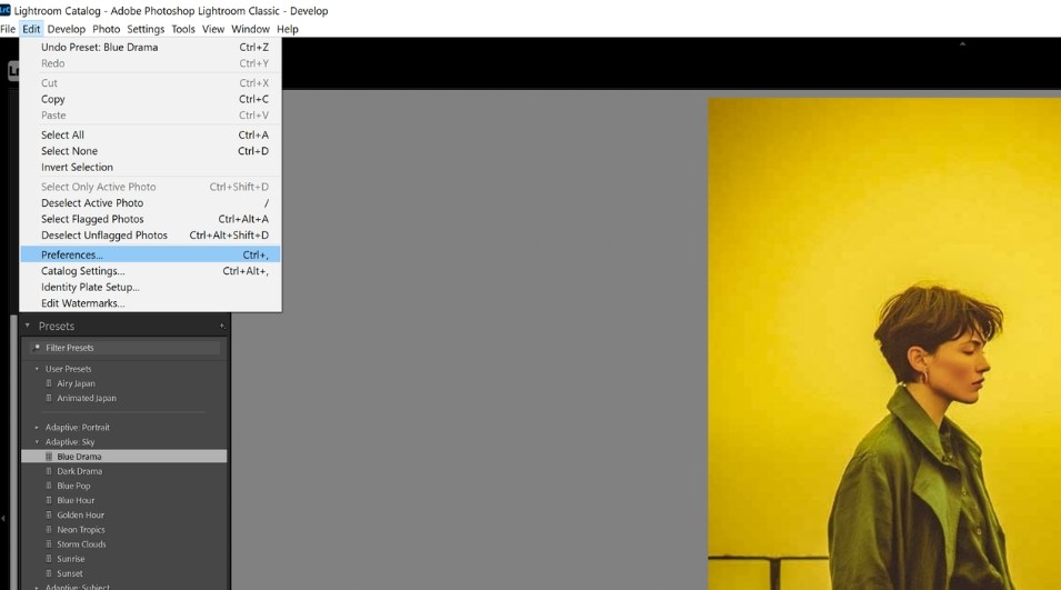 Lightroom Preferences Tab