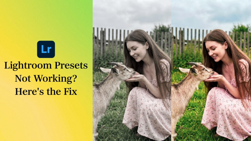 Lightroom Presets Not Working