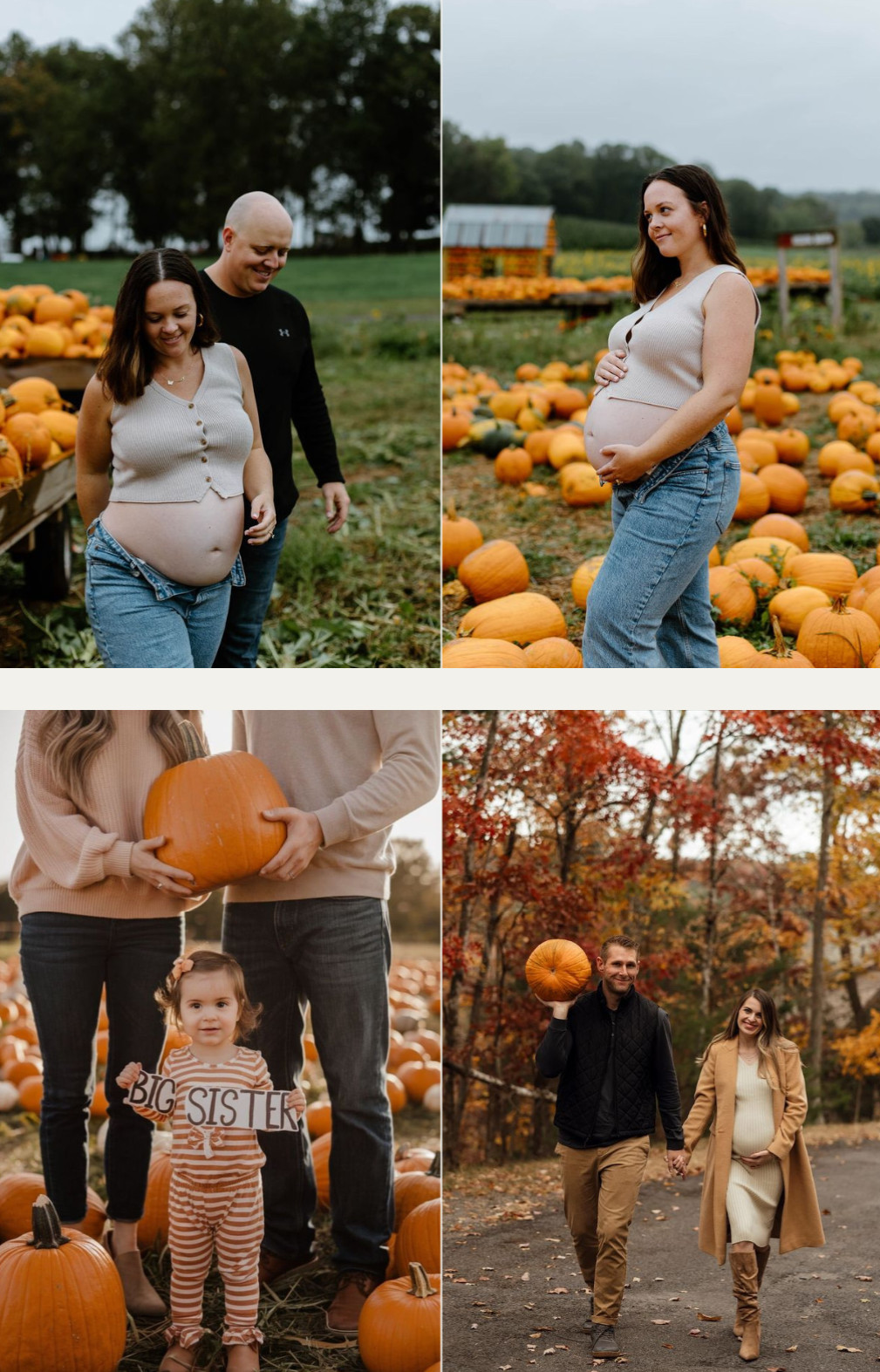 The Fall Harvest
