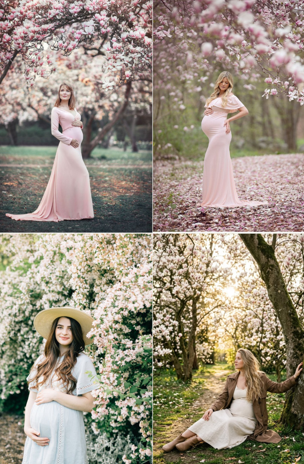 The Spring Blossoms