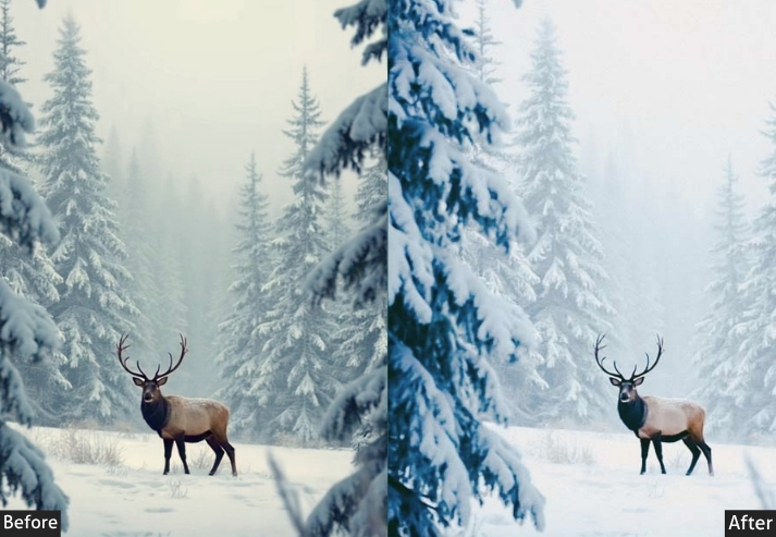 Winter Flash Ai